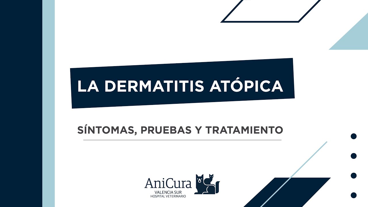 Todo lo que necesitas saber sobre Dermatitis Atópica en animales 🐶😽 - AniCura Valencia Sur