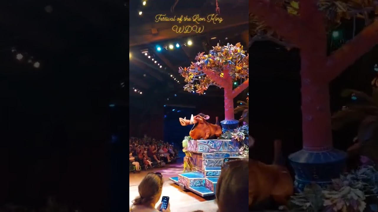#waltdisneyworld #mickeyandfriends #thewaltdisneycompany #lionking #disney