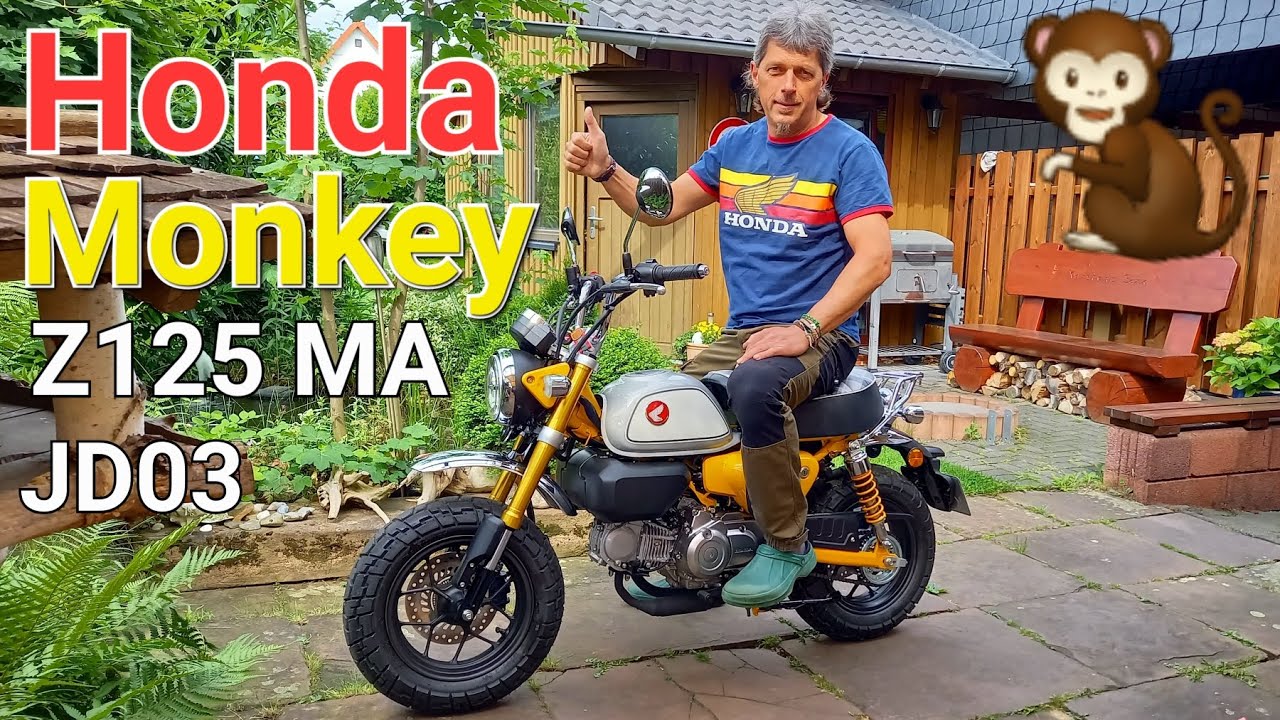 Neuvorstellung Honda 🐒 Monkey Z 125 MA JB03 Modell 2024 |🌲 Harzer Monkey | keine Dax Grom125 #monkey