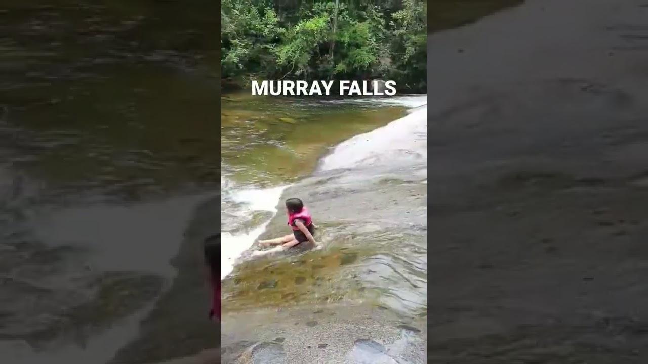 MURRAY FALLS SWIMMING AREA & Tully Gorge #shorts #waterfalls #queensland