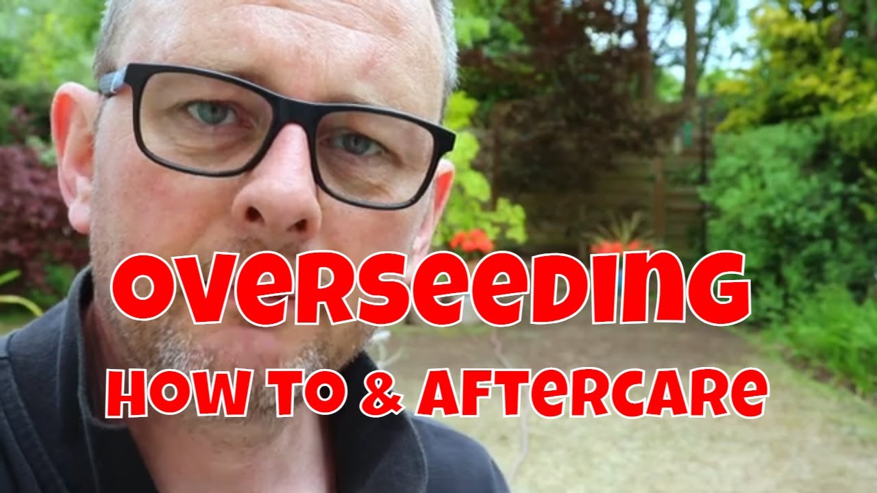 How to Overseed a Scarified Lawn