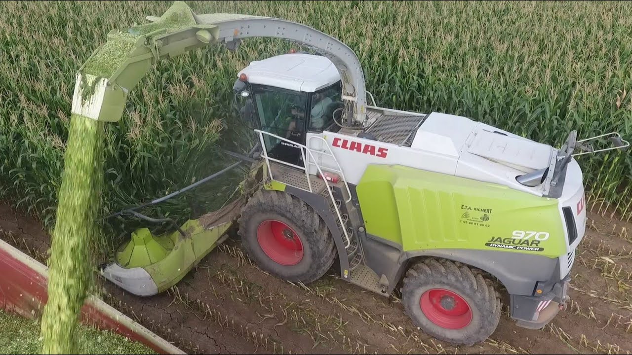 🌽18 RANGS à l'Ensilage de Maïs | Claas Jaguar 970 & 870
