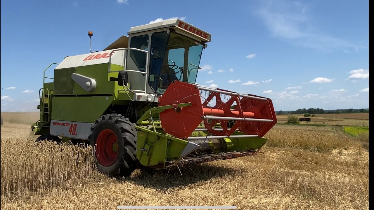Початок жнив 2023! Молотимо пшеницю) Урожайність радує, Claas Dominator 48s в роботі!