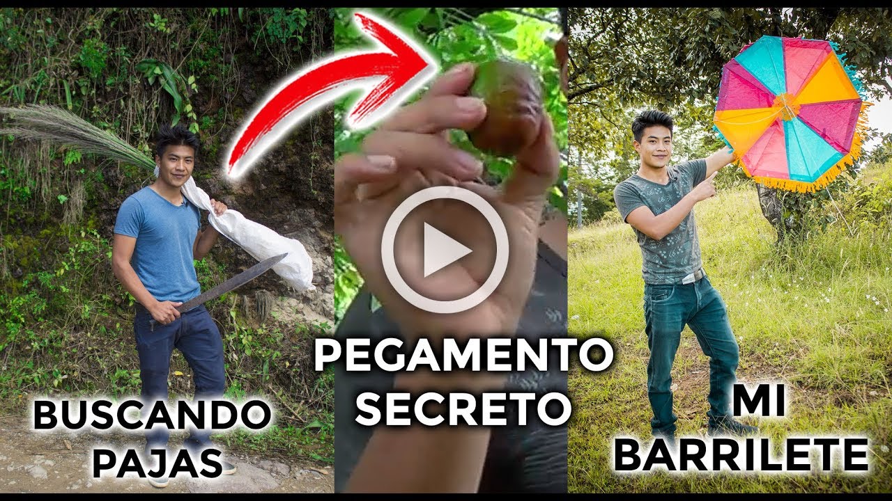 ✅ CHINO Curioso en Como hacer un BARRILETE, Papalote o Cometa / Tradiciones de GUATEMALA