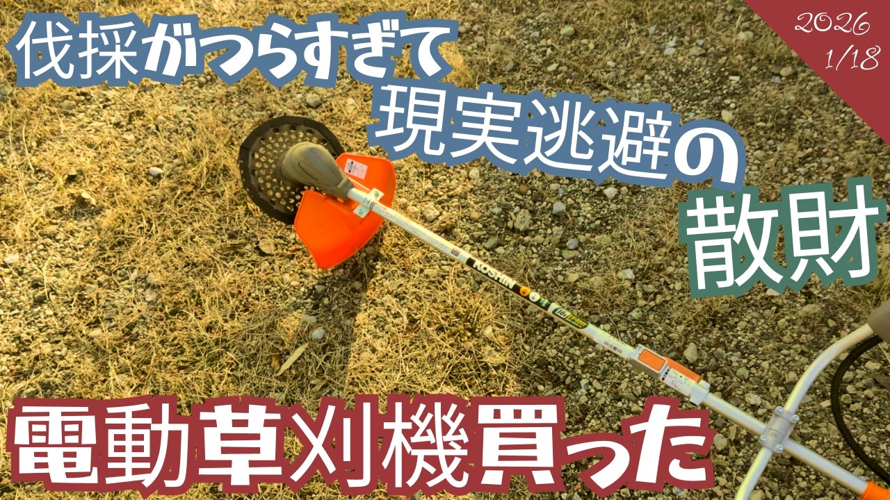 ［電動草刈機買った］［荒廃果樹園の再生］伐採がつらすぎて文明の利器に頼る散財