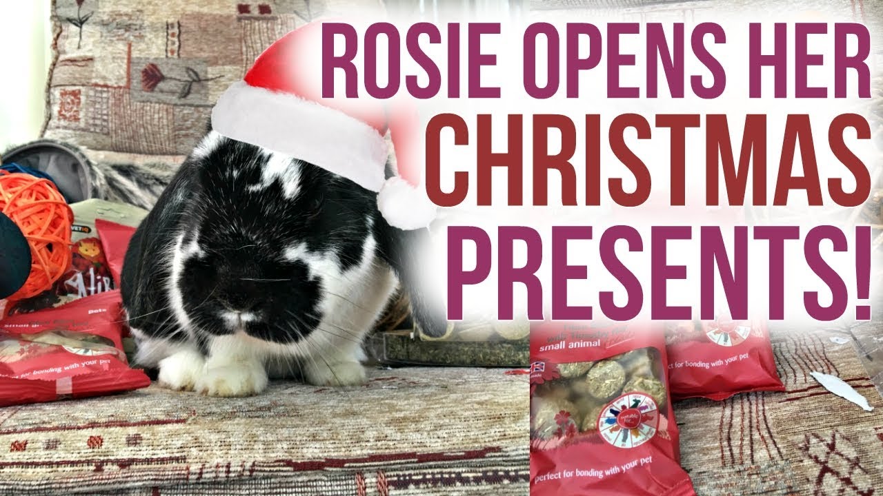 Rosie Rabbit Opens Her Christmas Presents 2018! | VLOGMAS WEEK 4 | RosieBunneh