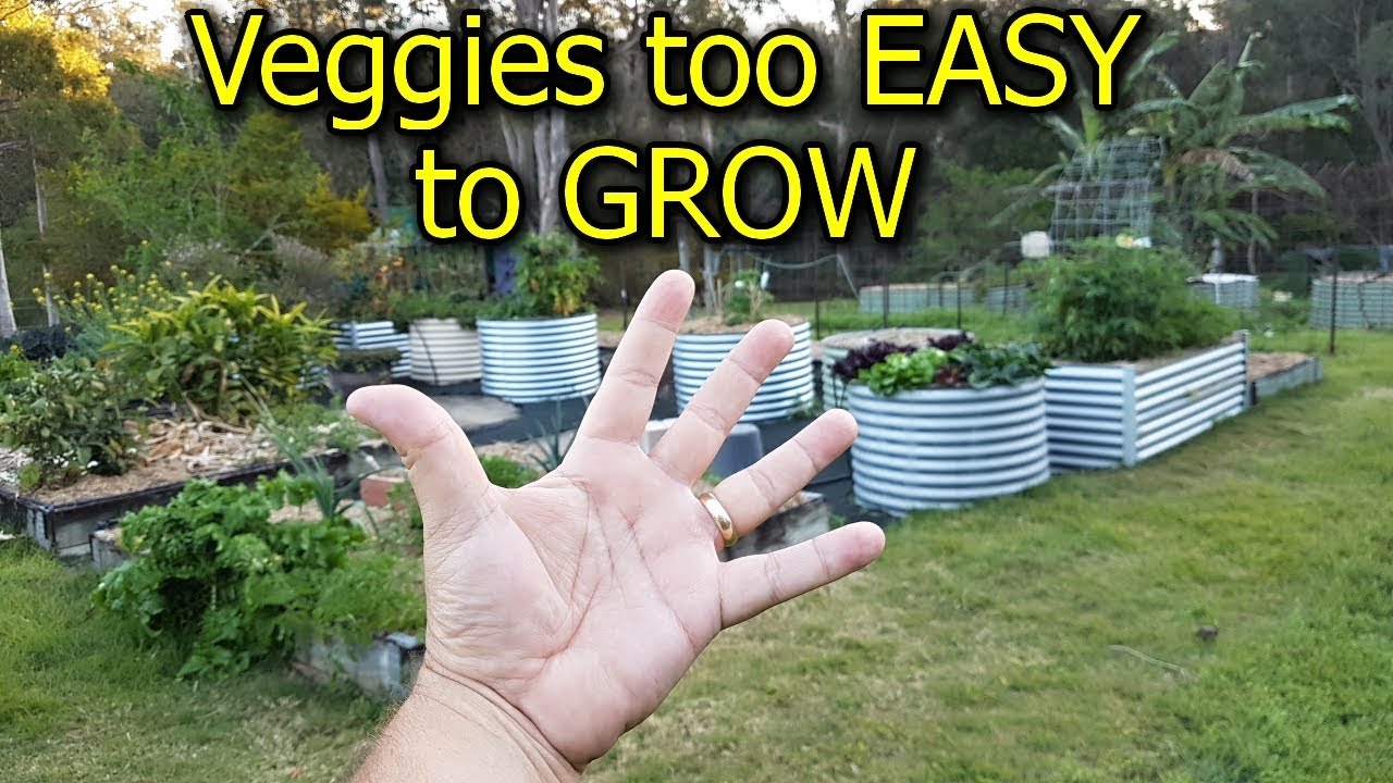 5 Vegetables that are too EASY to GROW in the Garden