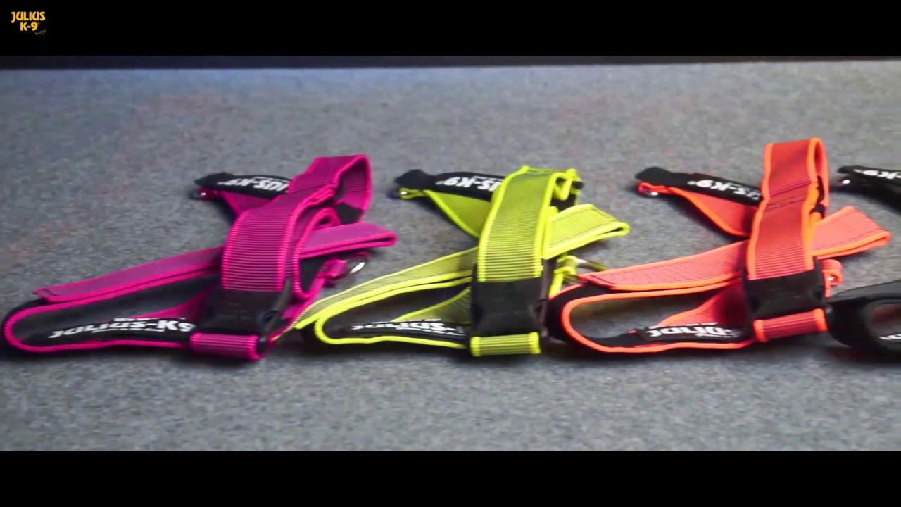 Color & Gray&trade; Selection #2