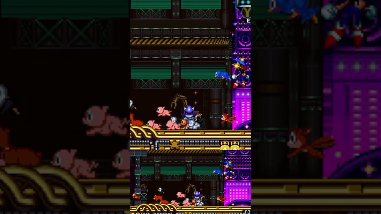 The Lunatic Hedgehog is Back! 