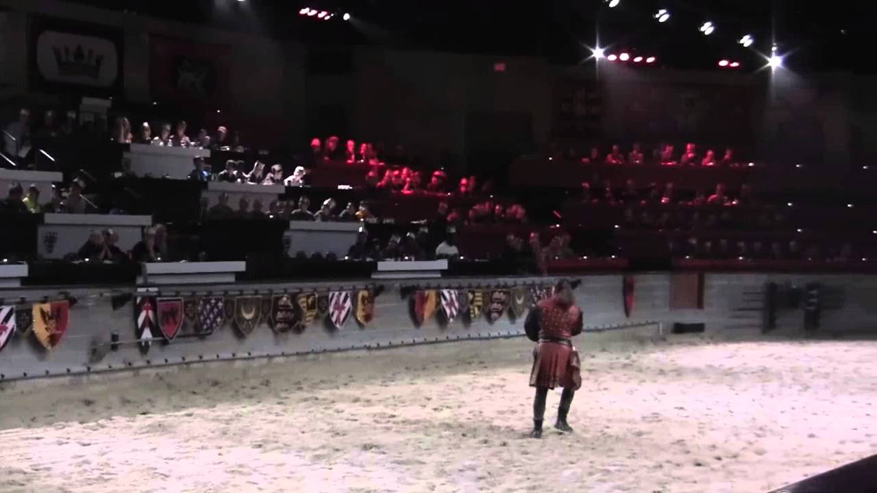 Medieval Times Falcon
