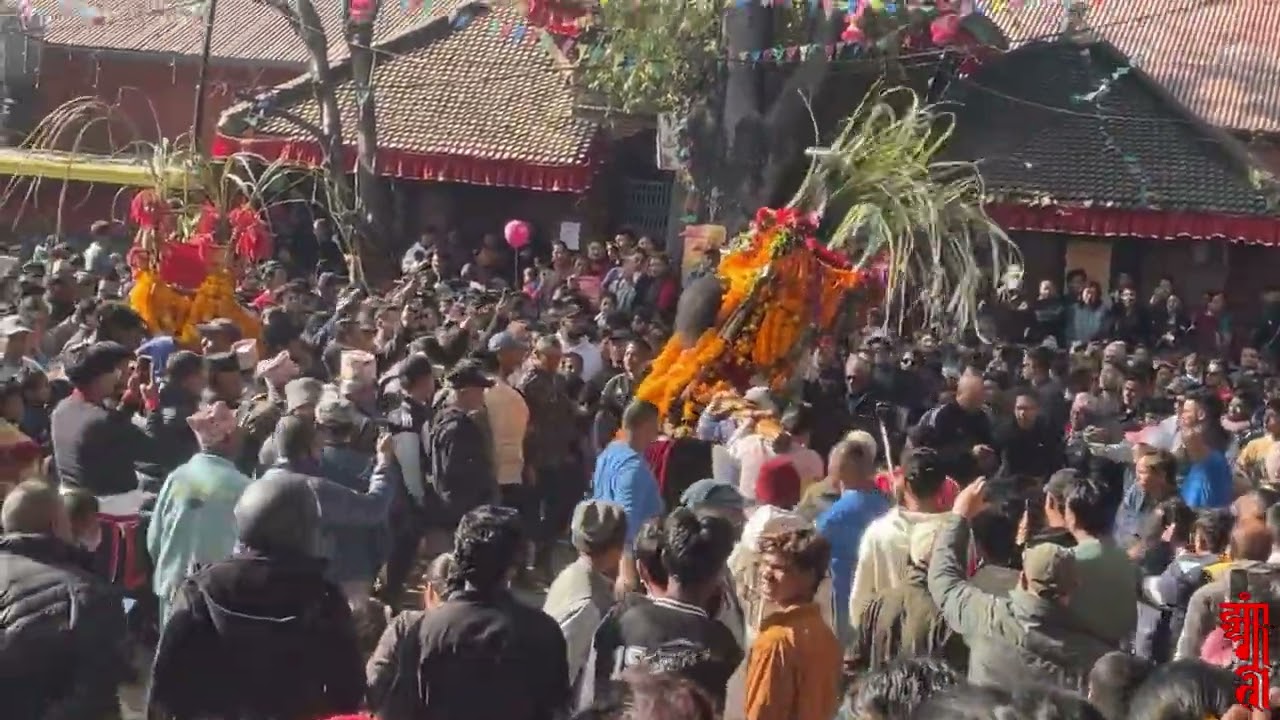 बखुंमदः जात्रा / सातगाउँ जात्रा / न्हयगां जात्रा २०८२ (ने. सं. ११४६ थिंलागथ्वः दशमी)