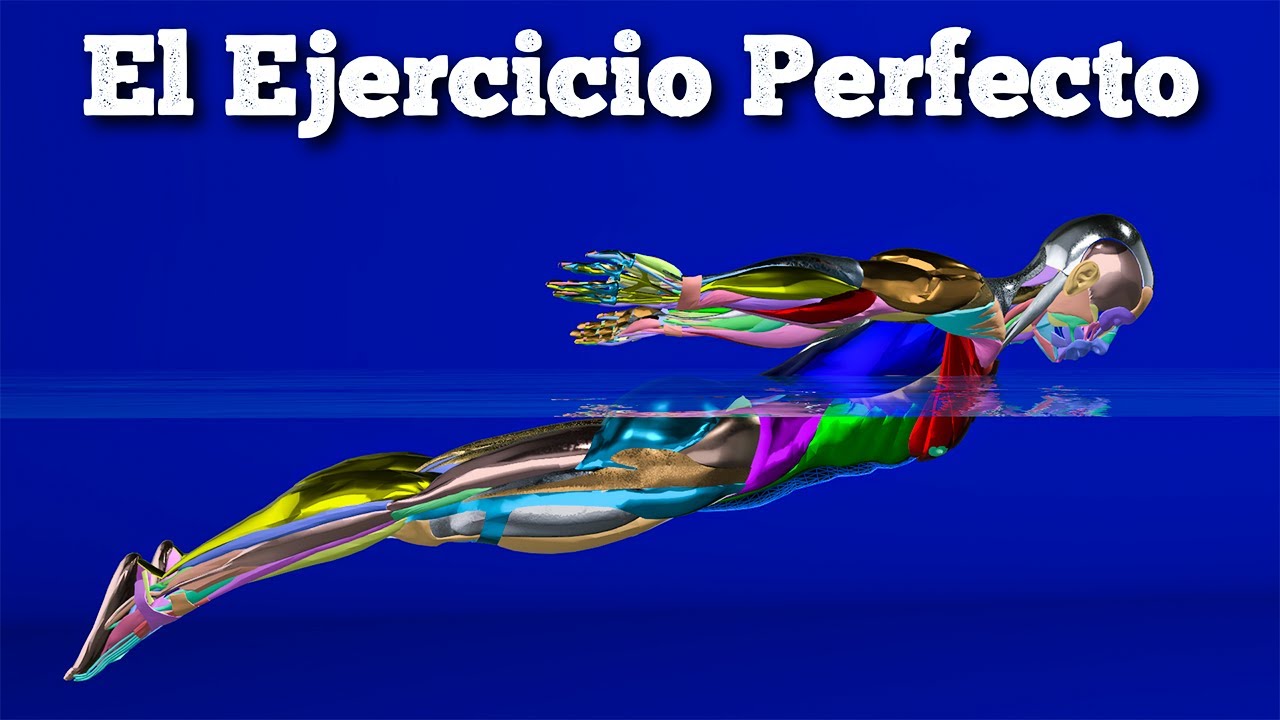 El Ejercicio PERFECTO