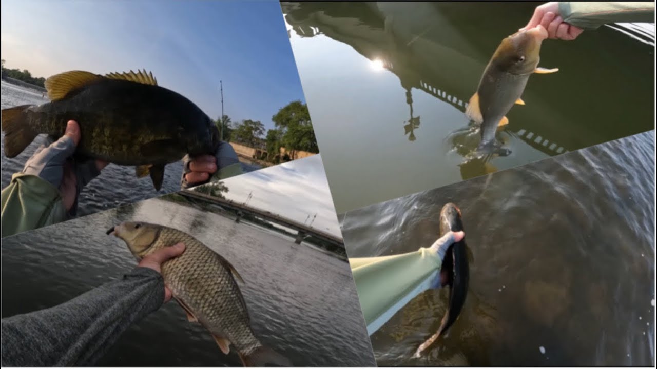 Illinois Summer River Fishing - Multi Species