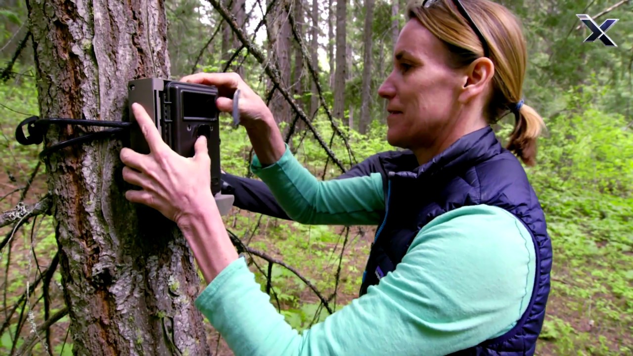 Xploration Awesome Planet - Nature&rsquo;s Classroom Featuring Citizen Wildlife Monitoring Project