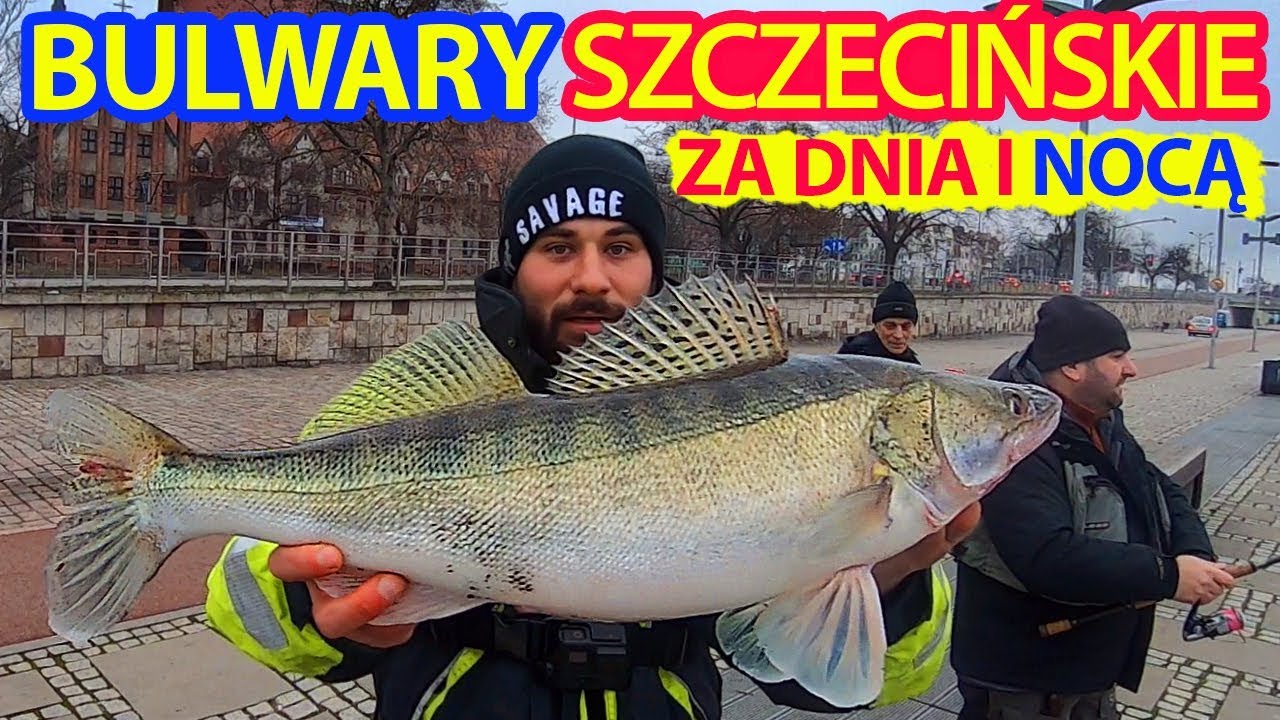 Sandacze w styczniu i lutym - bulwary Szczecin