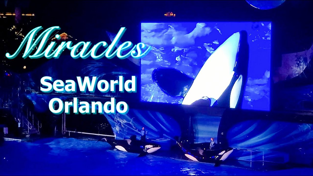 Shamu Christmas Miracles at SeaWorld Orlando's Christmas Celebration (2019)