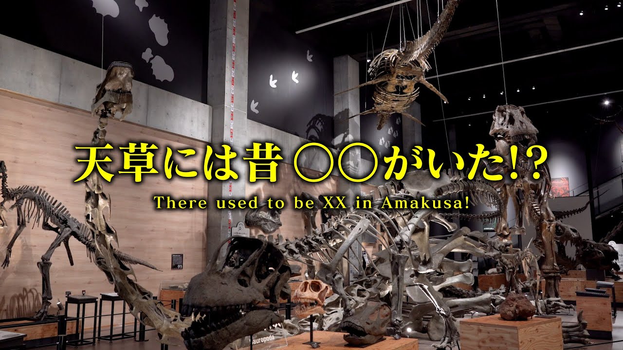 くまモンTV ♯293 御所浦 恐竜の島博物館でくまモンが化石採集！？ ( Kumamon TV ♯293)