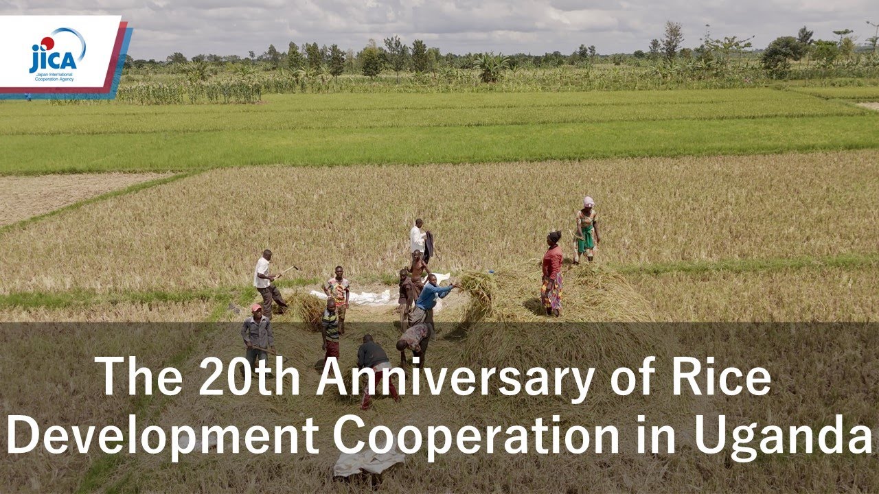 The 20th Anniversary of JICA’s support to Rice  Development Cooperation in Uganda