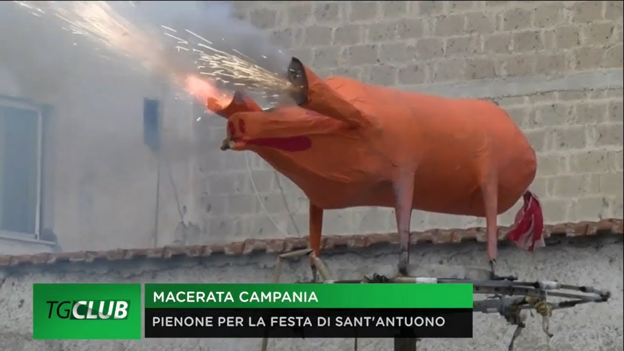 Festa di Sant'Antuono 2019 a Macerata Campania - Servizi TGClub TeleClubItalia
