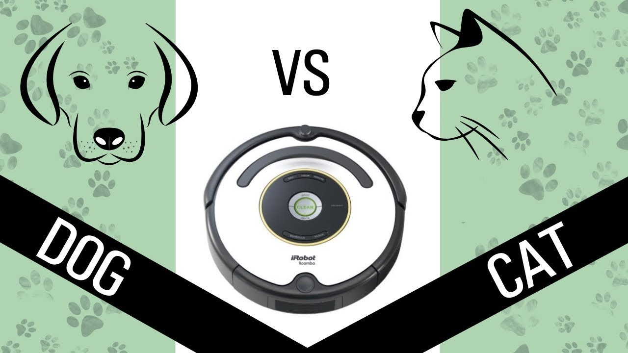 iRobot Roomba 670 против собак и кошек