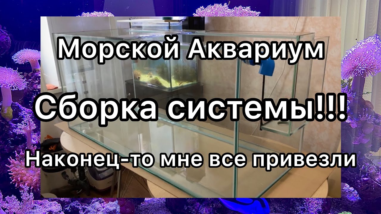 Морской аквариум запуск | Аквариум | Морской аквариум своими руками | перелив | самп