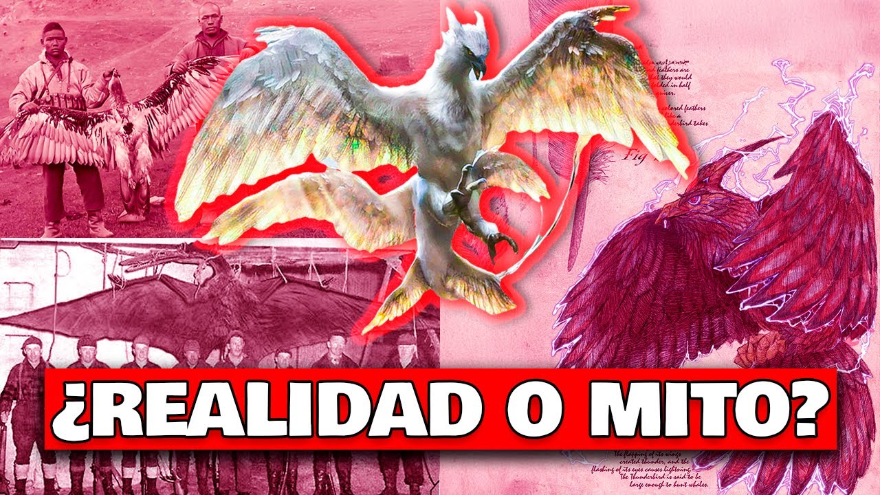 La foto de esta CRIATURA cambió TODO lo que SABÍAMOS - Todo sobre el THUNDERBIRD