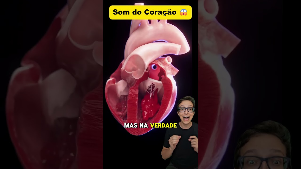Som Card&iacute;aco 😱#medicina #medico #enfermagem #anatomia #fisiologia #cardiologia #cardiologista