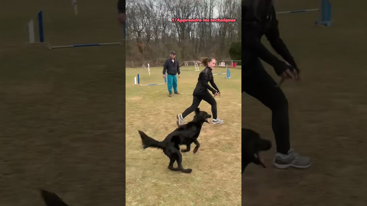 Best of des moments d&rsquo;agility