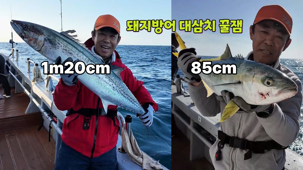돼방어 대삼치가~~