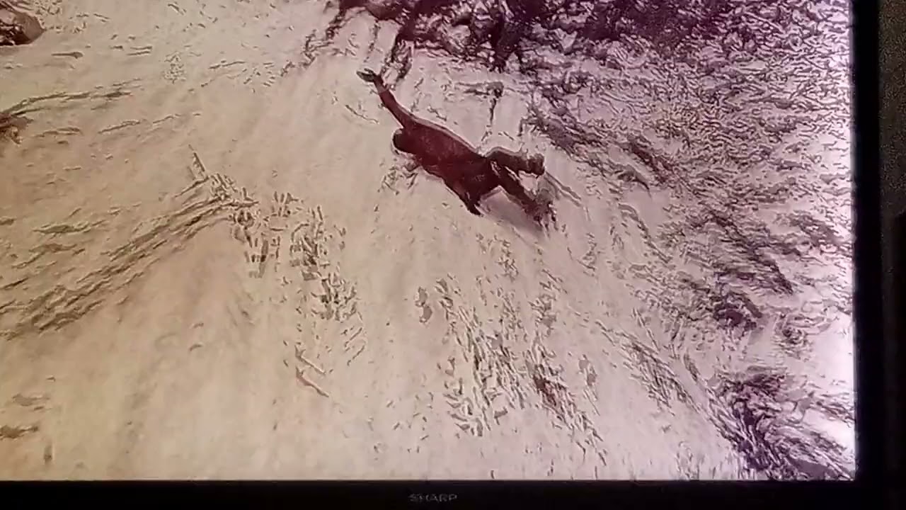 explore Snow location And explore desert