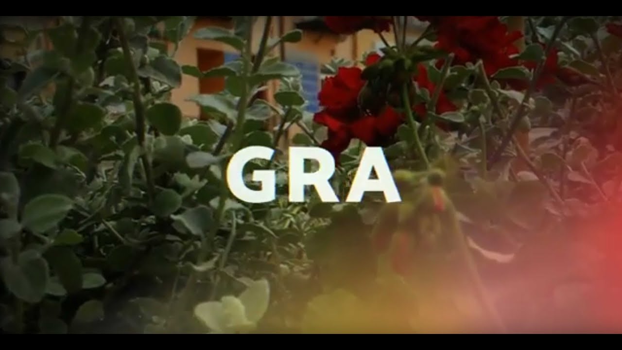 GRA LEŚNA 