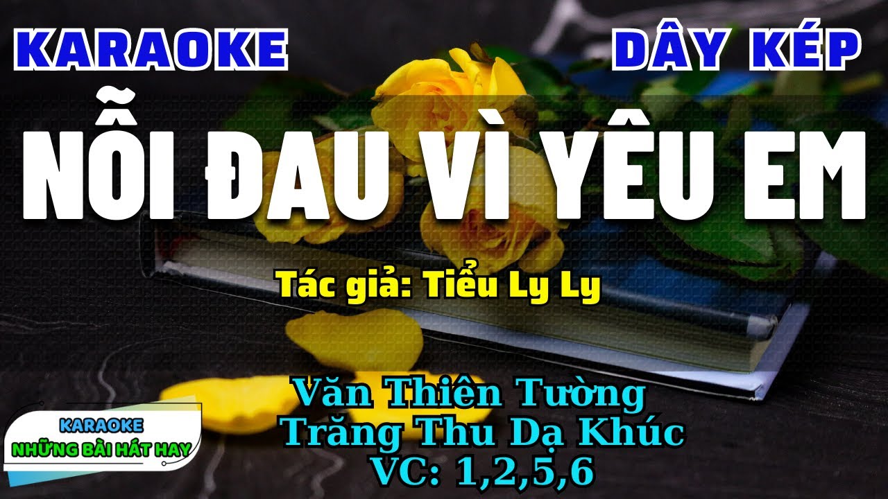 Karaoke Vọng Cổ Nỗi Đau Vì Yêu Em I Dây Kép I Karaoke những bài hát hay