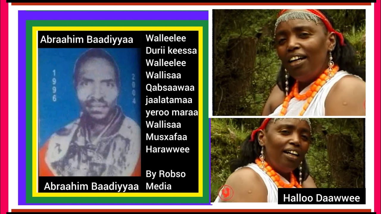 Abraahim Baadiyafi Halloo Dawee:Walleelee Qallayoo Mudhii Haroressaa jachuun wallifame By RM