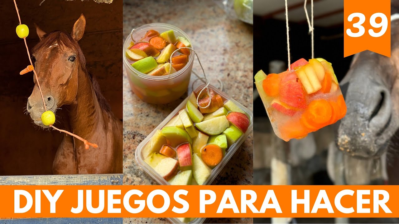 Juegos para nuestros caballos - 👩🏼‍🍳 Do it Yourself 🍎🍏🥕nivel fácil 💫