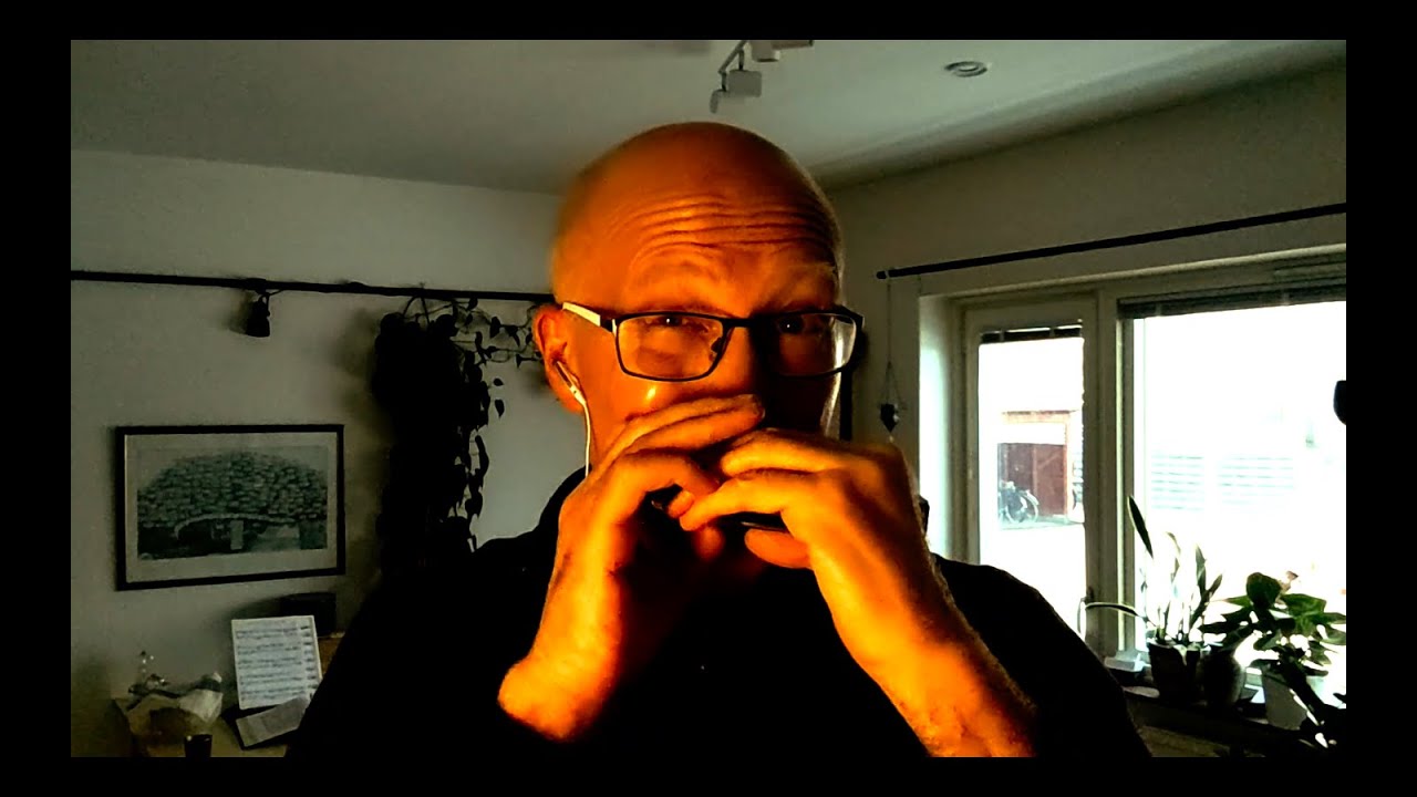 Vivaldi | Largo | Chromatic harmonica | from Concerto for Flautino in C major