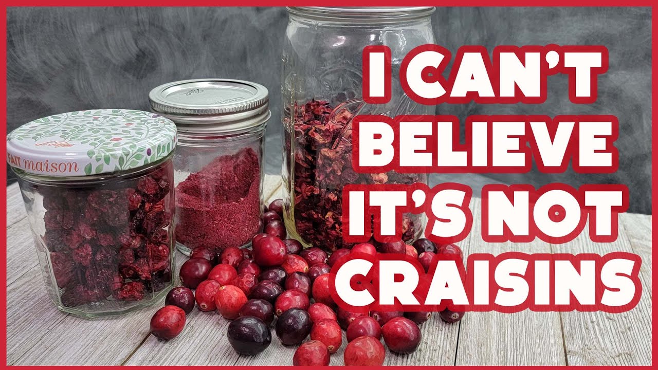 DIY Craisins - How to Dehydrate Cranberries and make Cranberry Powder