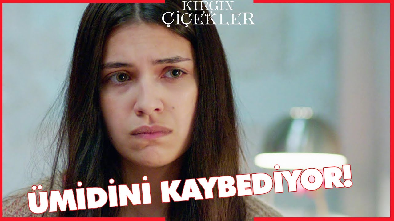 Kırgın Çiçekler Özel Kısa Bölümler | 145