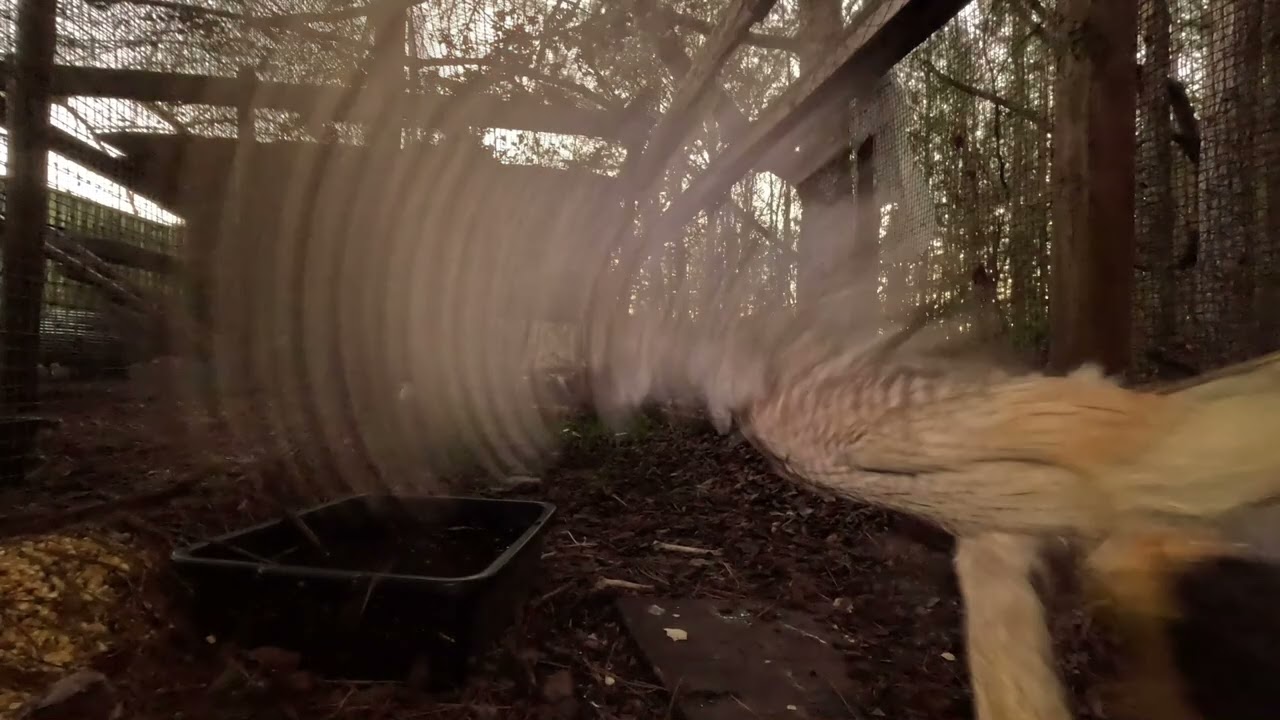 My GoPro Video