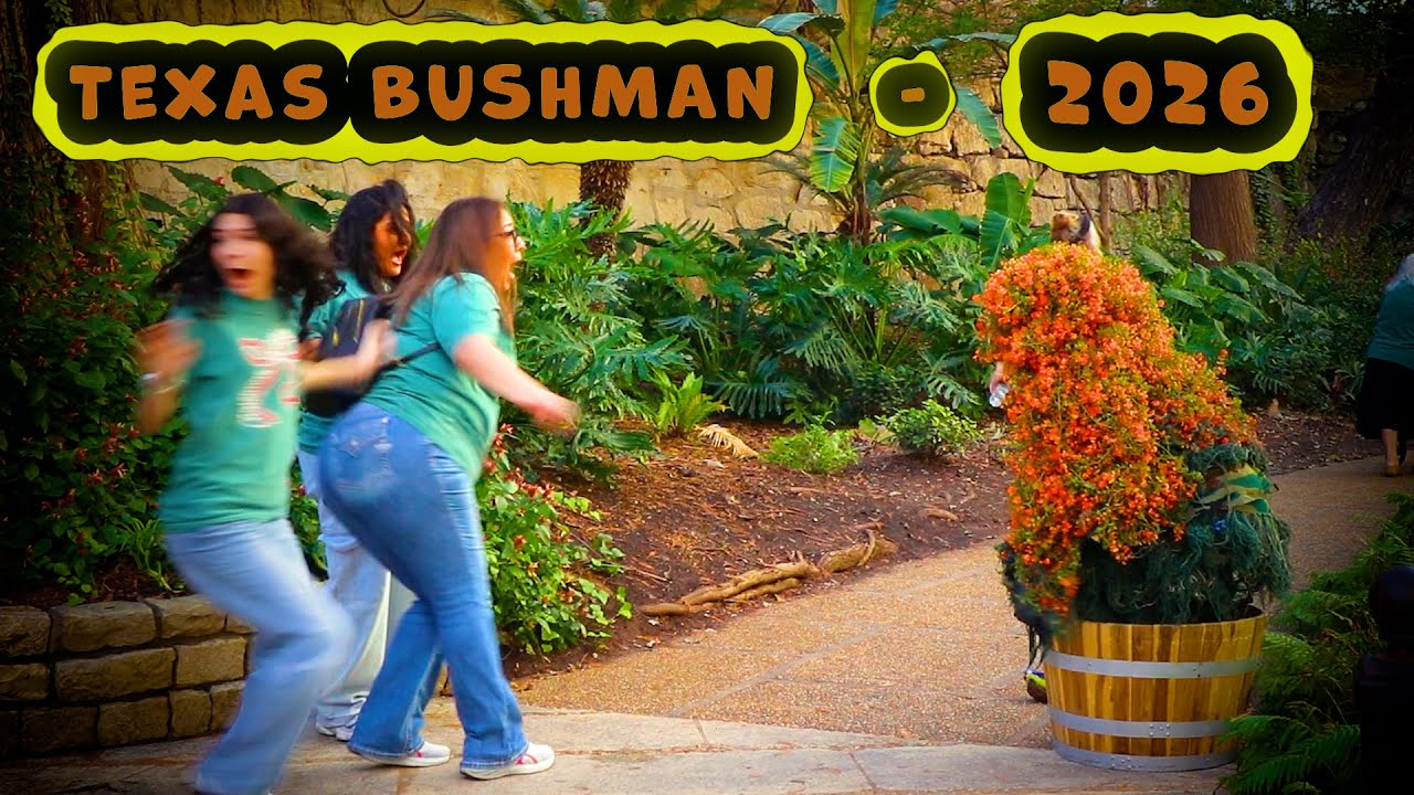 Bushman Prank: Manufactured Chaos 2026!!
