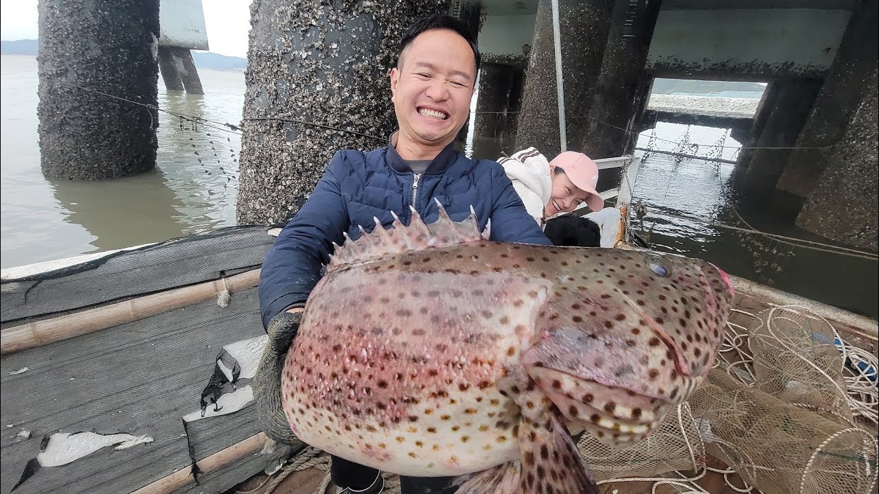 十天前放下的笼子捕到价值千元的大石斑，小明拿回家跟好友换昂贵洋酒
