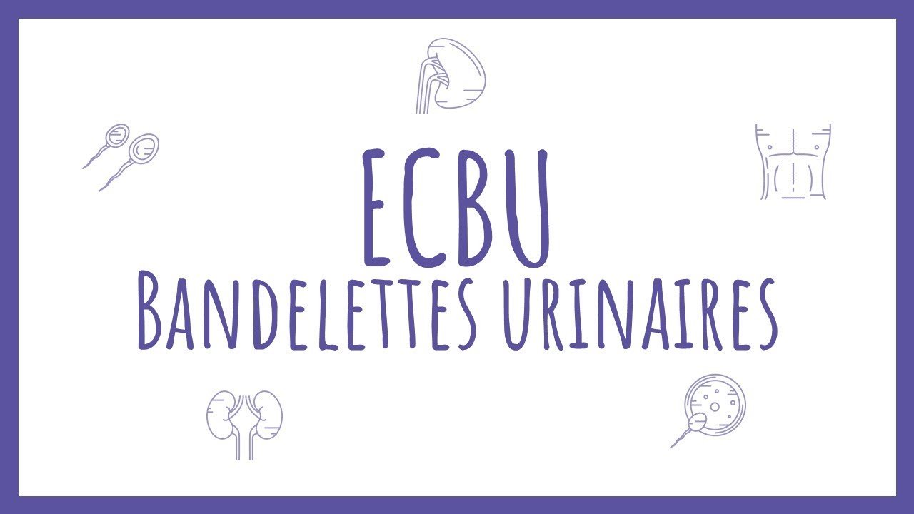 Sémiologie Urologique - Bandelette Urinaire & ECBU