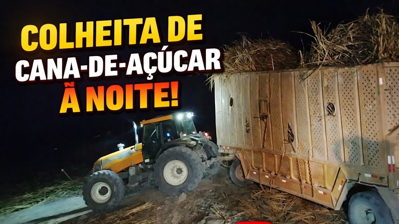 Veja esse carregamento de cana inteira a noite 