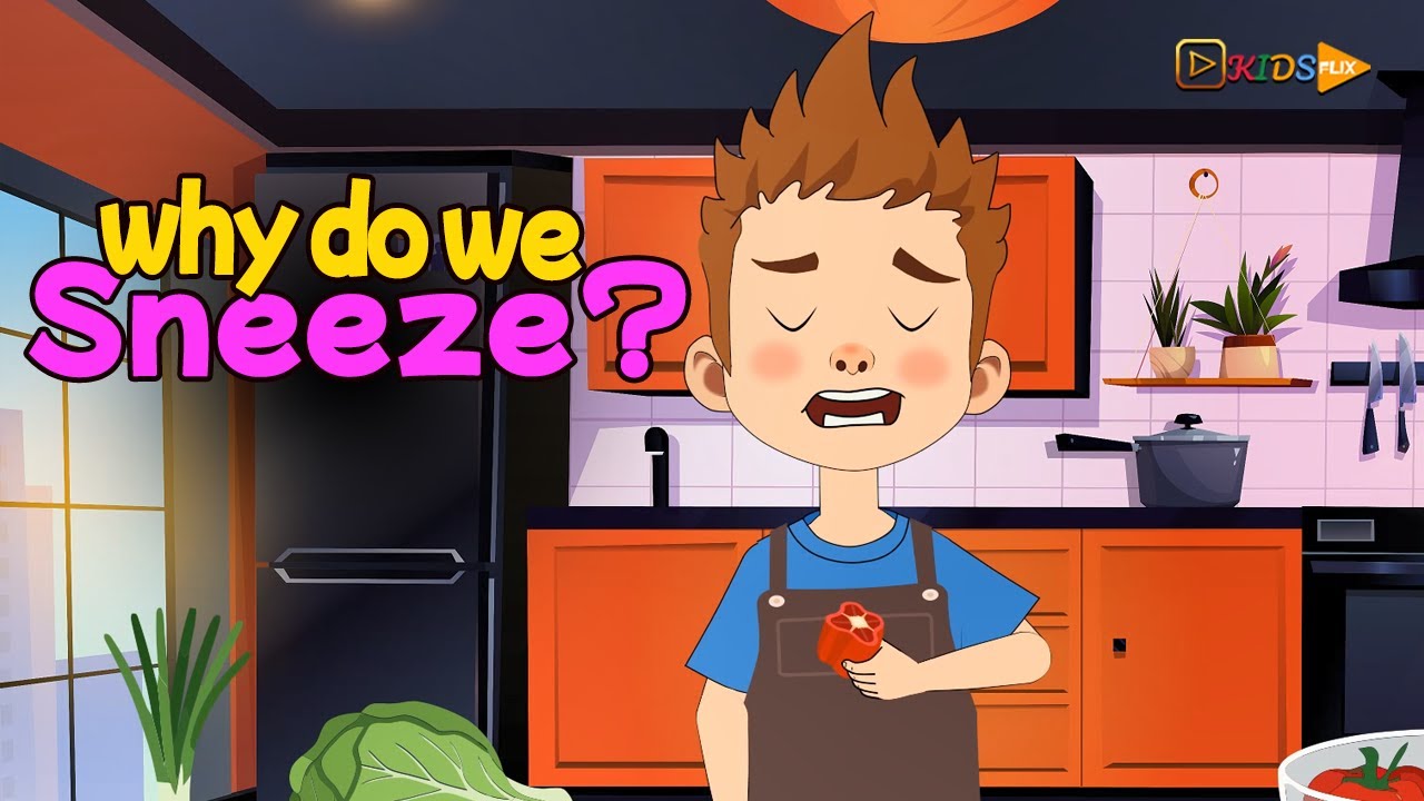Ask Me - Why Do We Sneeze? 🤔🤧 | Fun Facts for Kids | KidsFlix Club