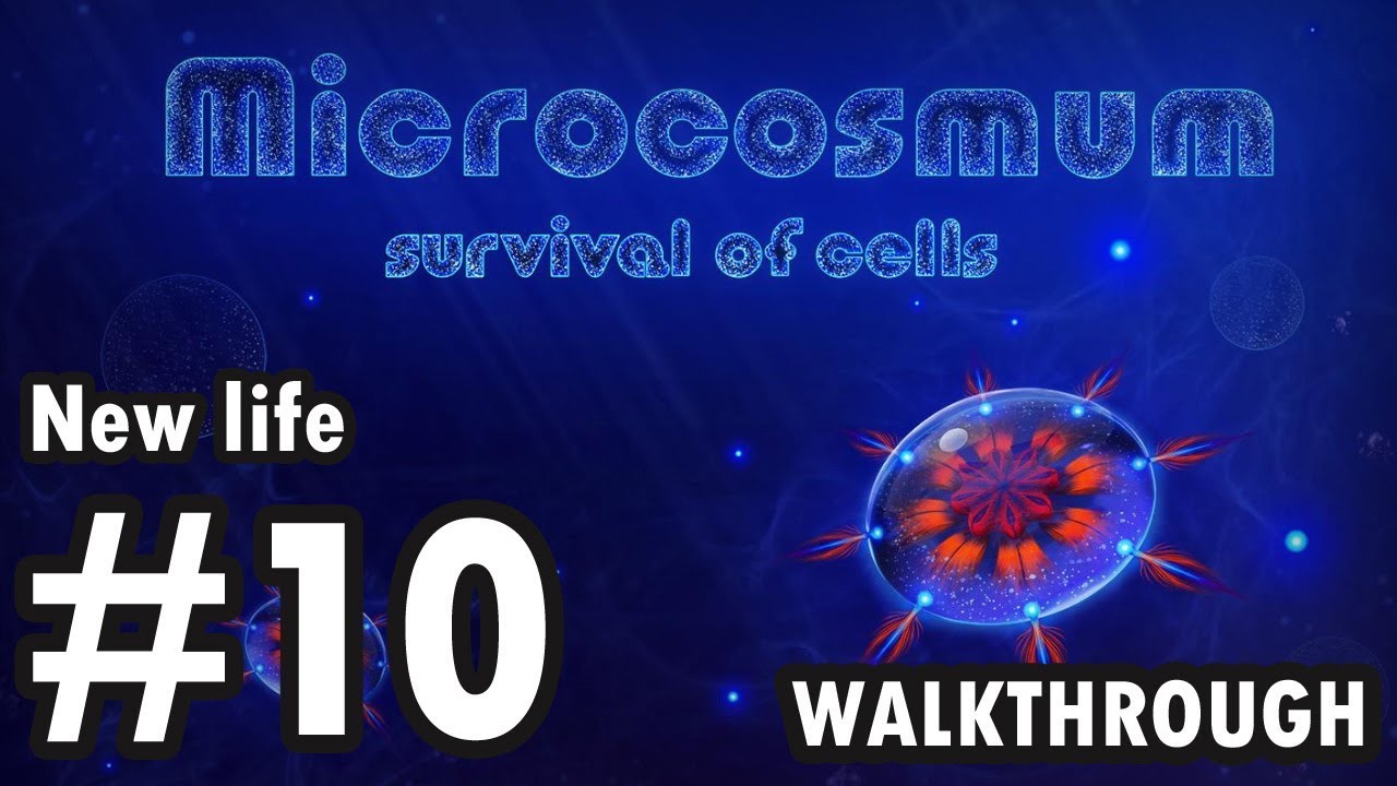 Microcosmum: survival of cells - New life - #10 (Walkthrough)