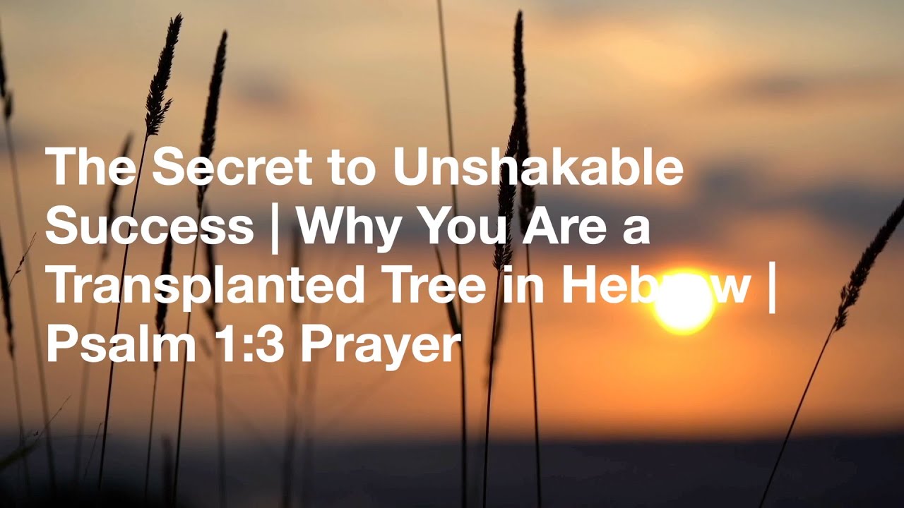 The Secret to Unshakable Success | Why You Are a Transplanted Tree in Hebrew | Psalm 1:3 Prayer