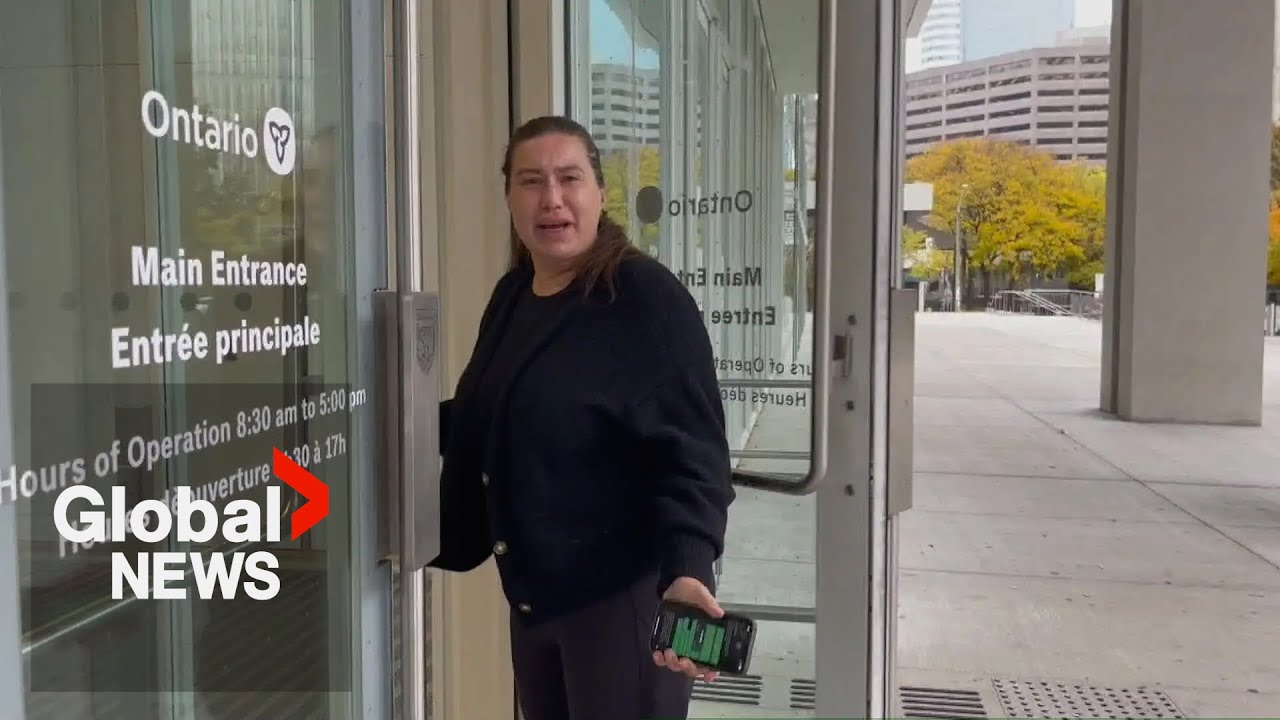 Toronto woman who took dangerous dog to playground where it mauled child facing prison