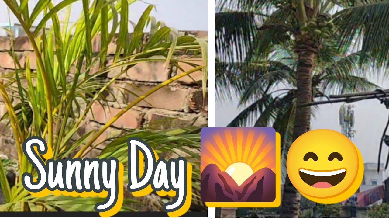 Aaj Kuch Dekhate Hai☘️☘️🌞