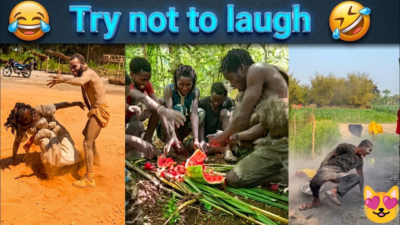 Most Funniest Videos Try Not To Laugh 
