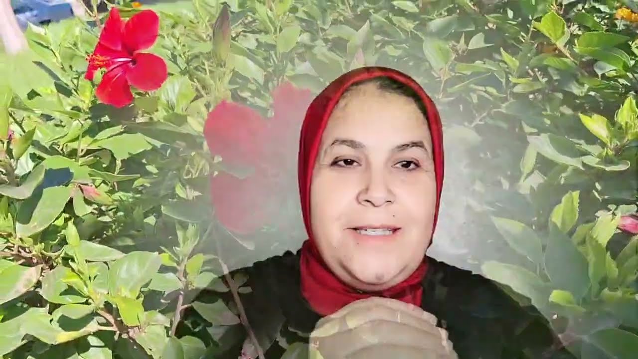 😱شرشمو ياسين وكملو ب هدى والعريسات المسمومات وملاك عطاوها لرأس 😲