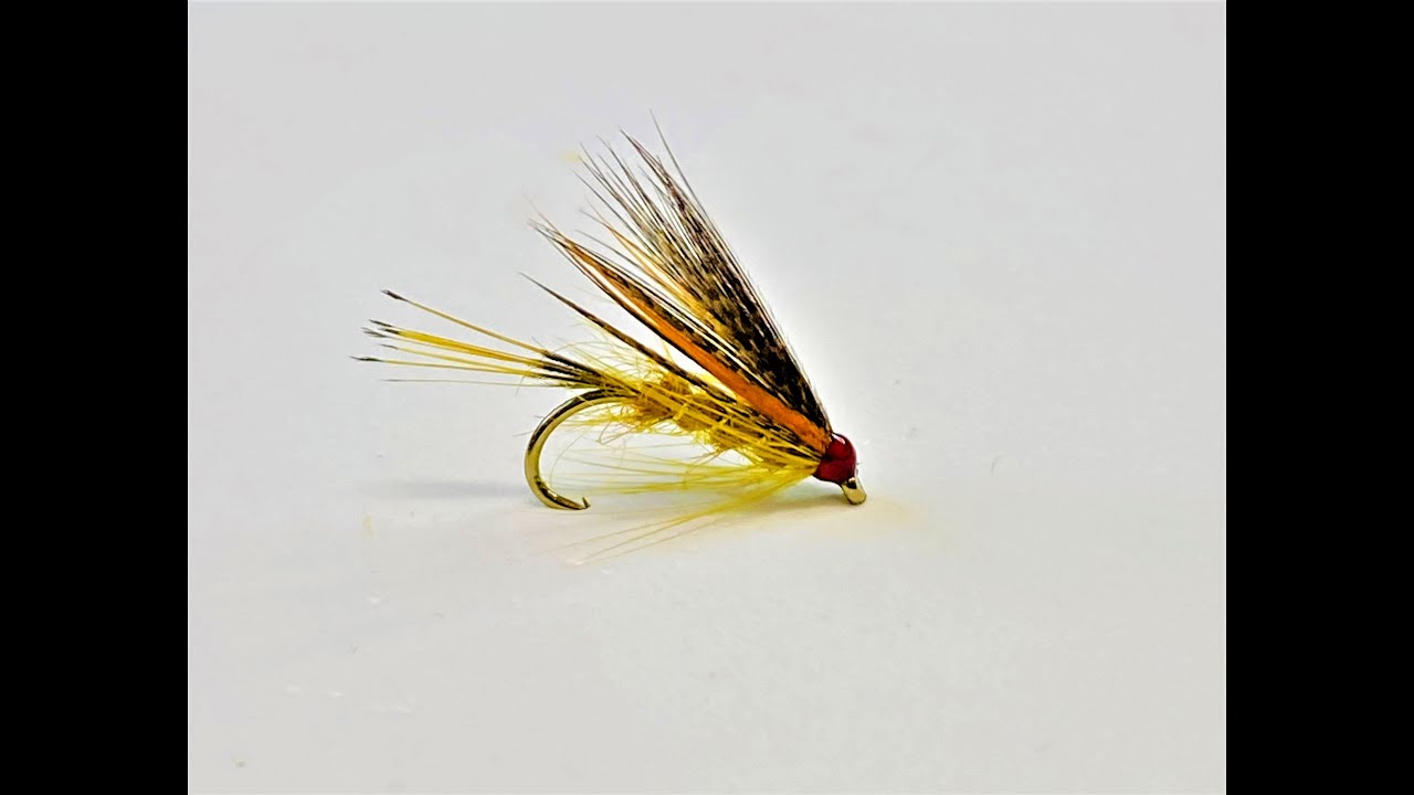 Tying a trout fly, Ballinderry Golden Olive, with Scott Jackson